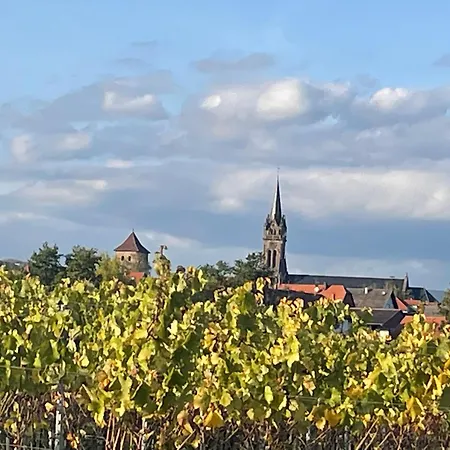 아파트 La Cour Zaepffel