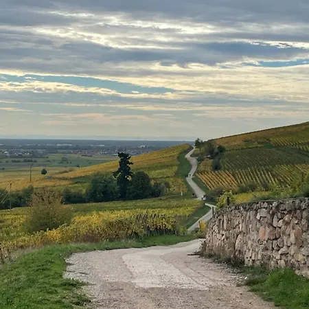 La Cour Zaepffel Apartamento *