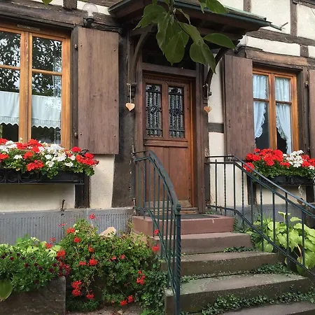 La Cour Zaepffel * Dambach