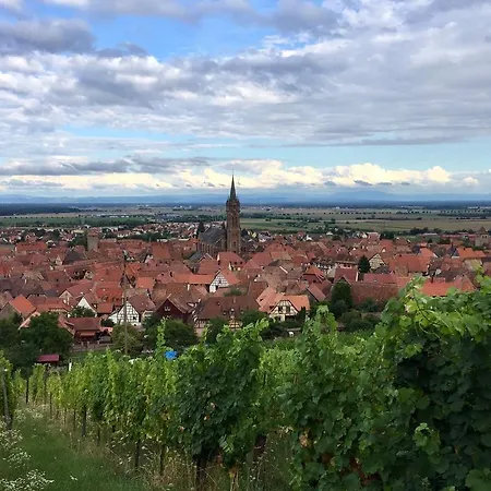 Apartamento La Cour Zaepffel