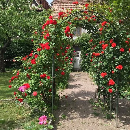 La Cour Zaepffel Dambach