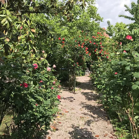 公寓 栽普菲尔度假酒店