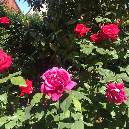 La Cour Zaepffel Apartamento *