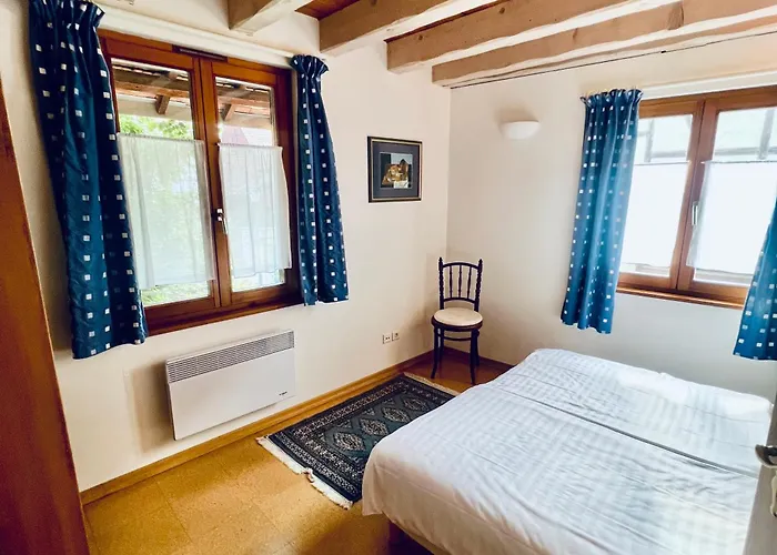 La Cour Zaepffel Dambach