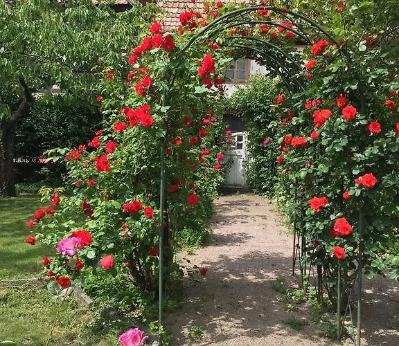 La Cour Zaepffel Dambach